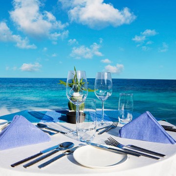 Drink & Tableware