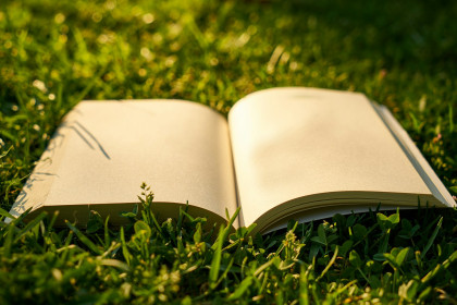 6 Ways to Build Brand Trust with Eco Storytelling